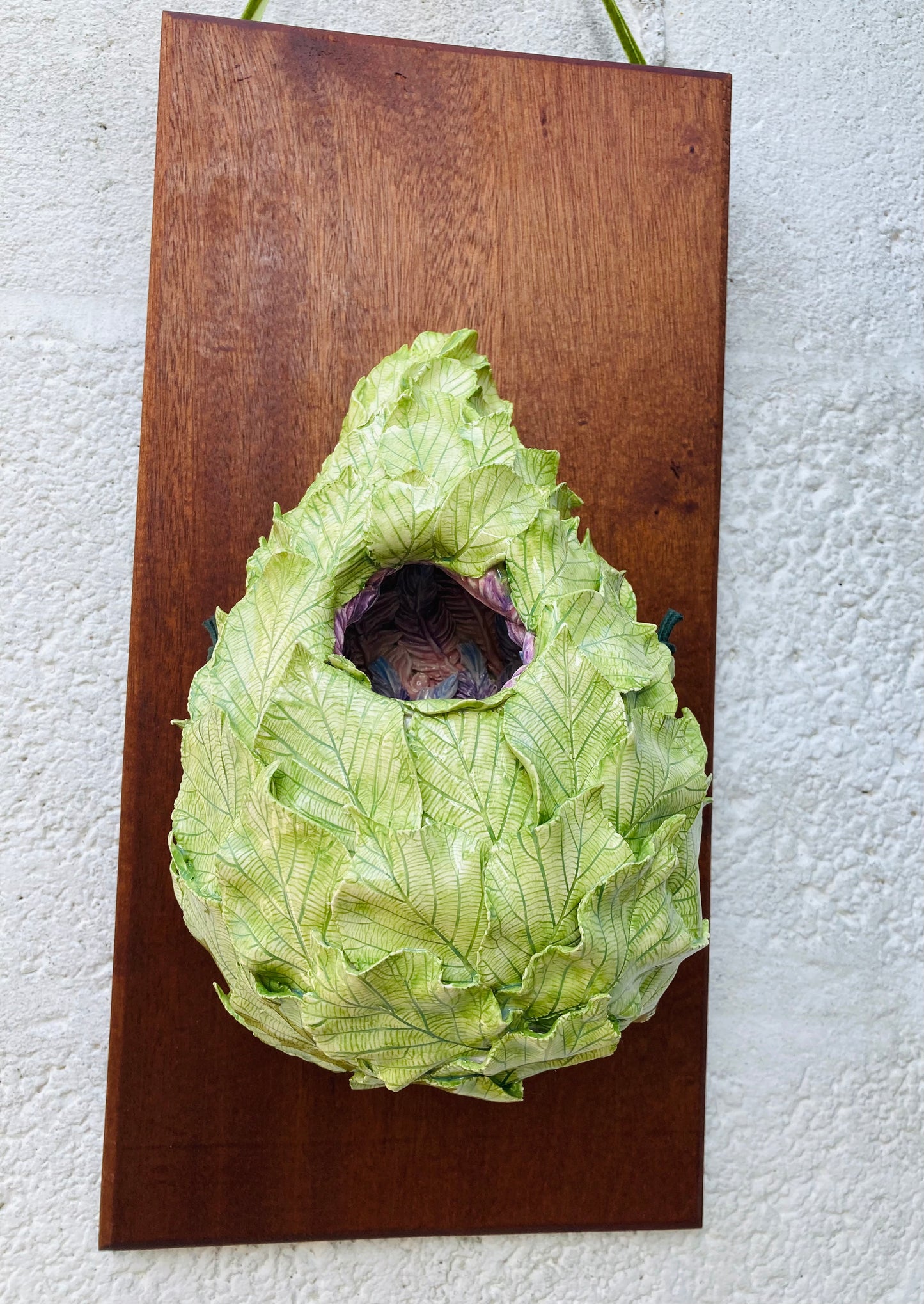 Nest