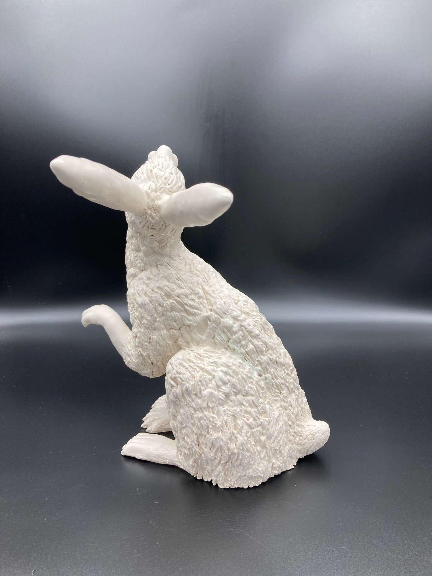 Large Hare