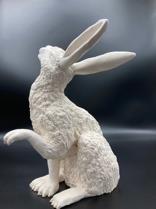 Large Hare
