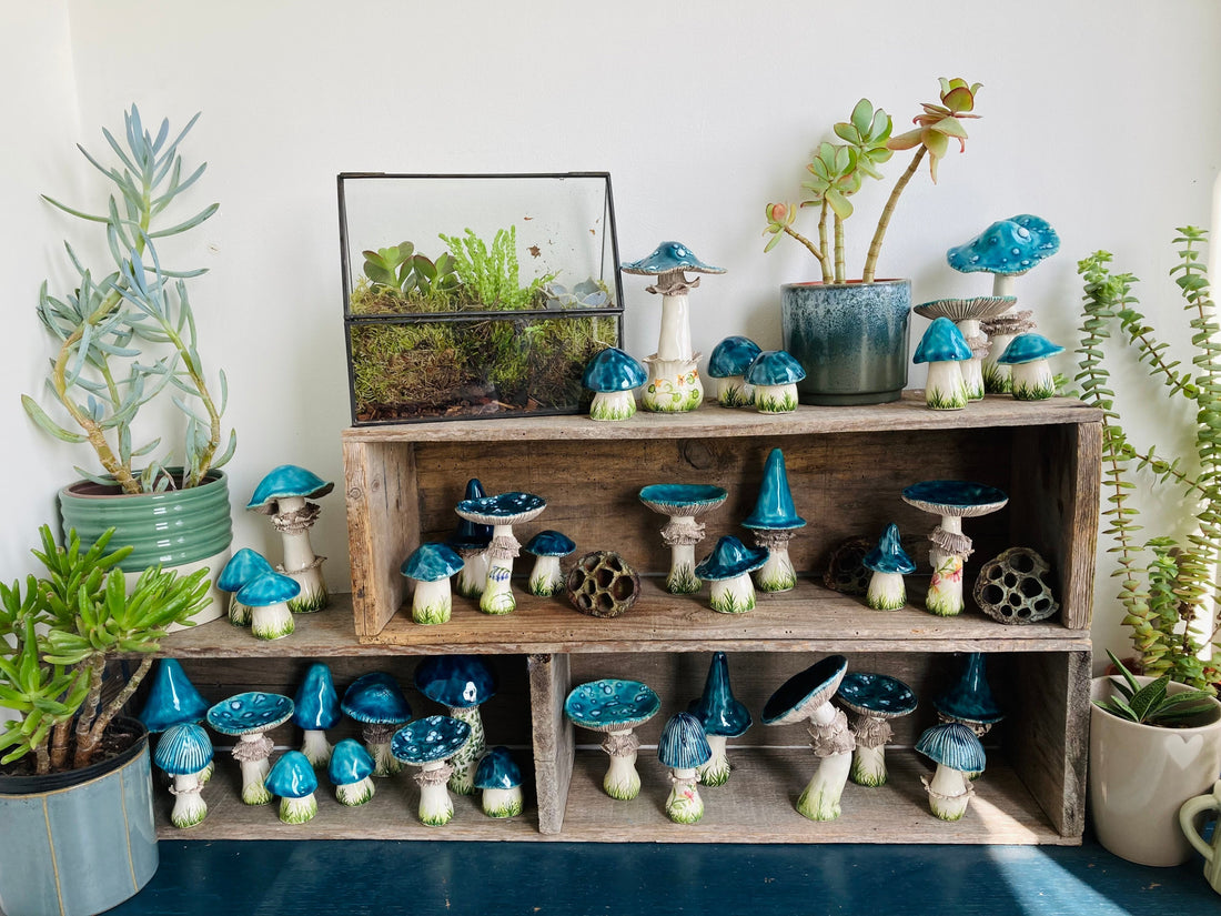 The Blue Mushrooms Collection