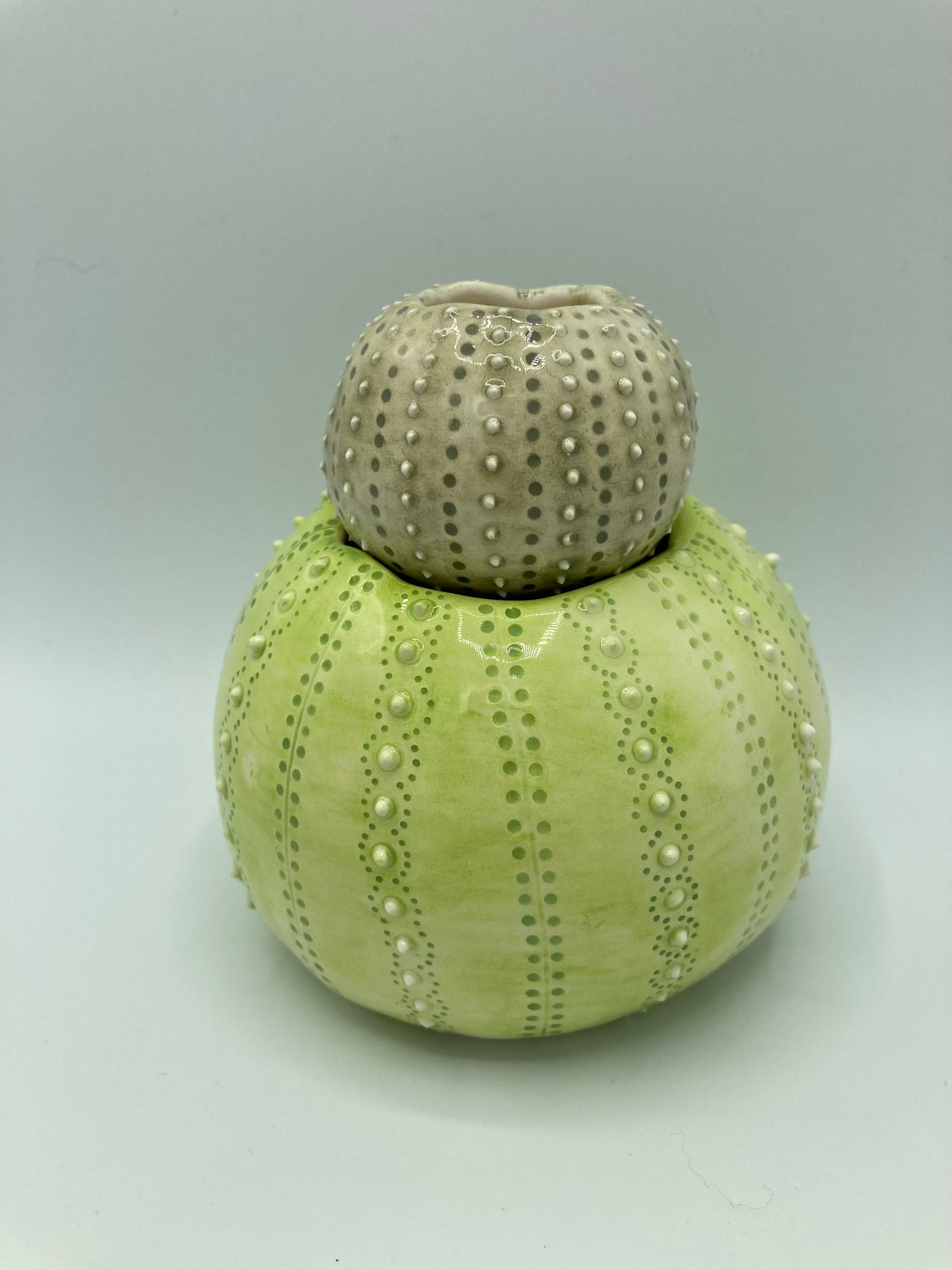 Urchin pots - Private workshop - Saturday 30th August 2025 - 10am to midday. Price per person.
